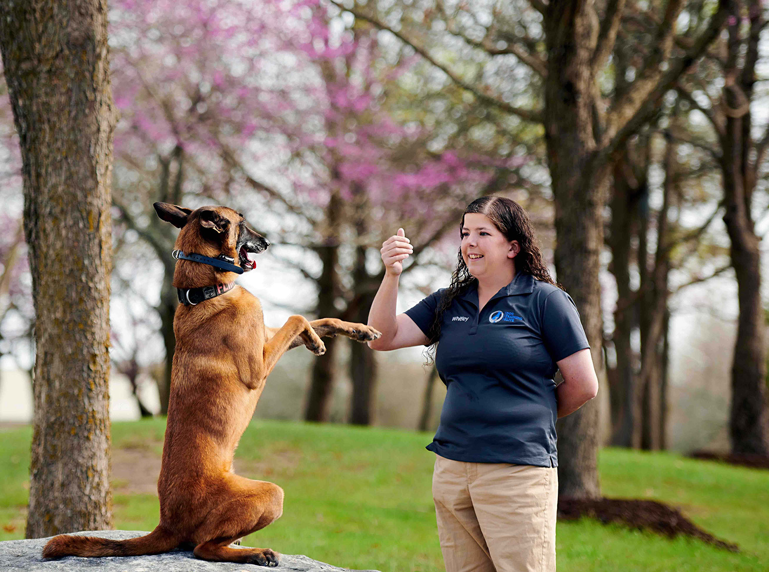 A woman training a pup with posative re-enforcement and a personalized Dog Training Elite training.