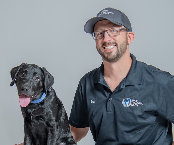 Brad Okeson. Dog Trainer in your local area