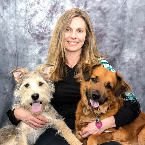 Danielle Sanderson. Dog Trainer in your local area