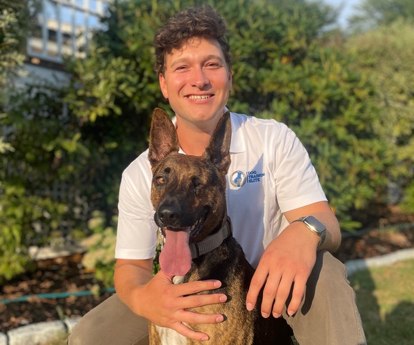 Marcus DiBenedetto. Dog Trainer in your local area
