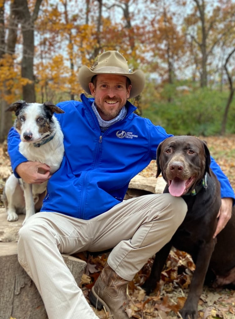 Matt Willis. Dog Trainer in your local area