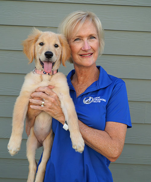 Darlene Collett. Dog Trainer in your local area