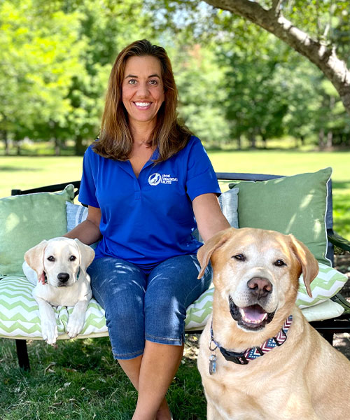 Andrea Johnson. Dog Trainer in your local area