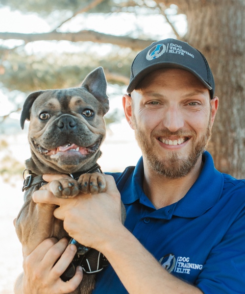 Dan Lutchko. Dog Trainer in your local area
