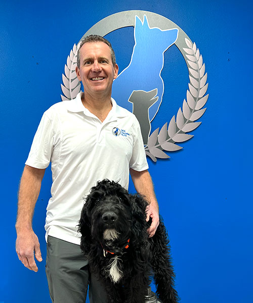 David Foster. Dog Trainer in your local area