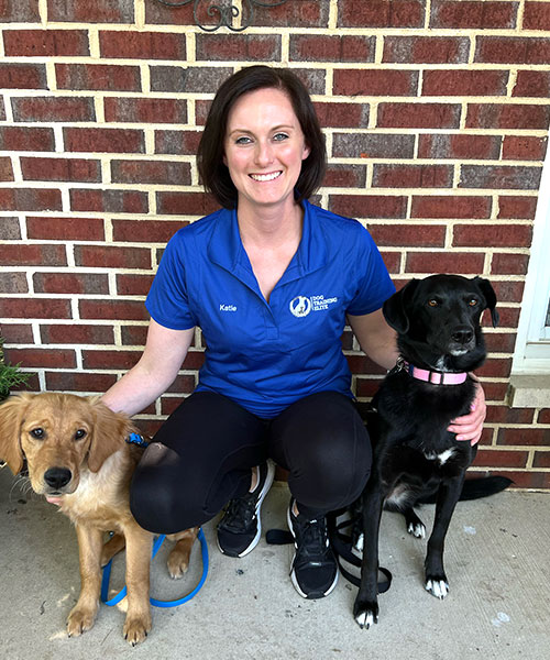 Katie Matt. Dog Trainer in your local area